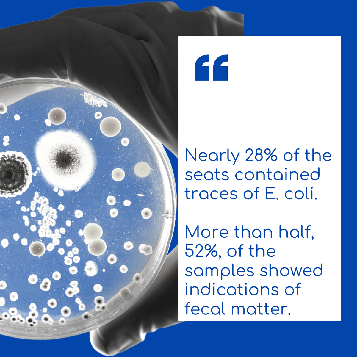 Nearly 28 percent of the seats contained traces of E. coli. More than half, 52 percent, of the samples showed indications of fecal matter.