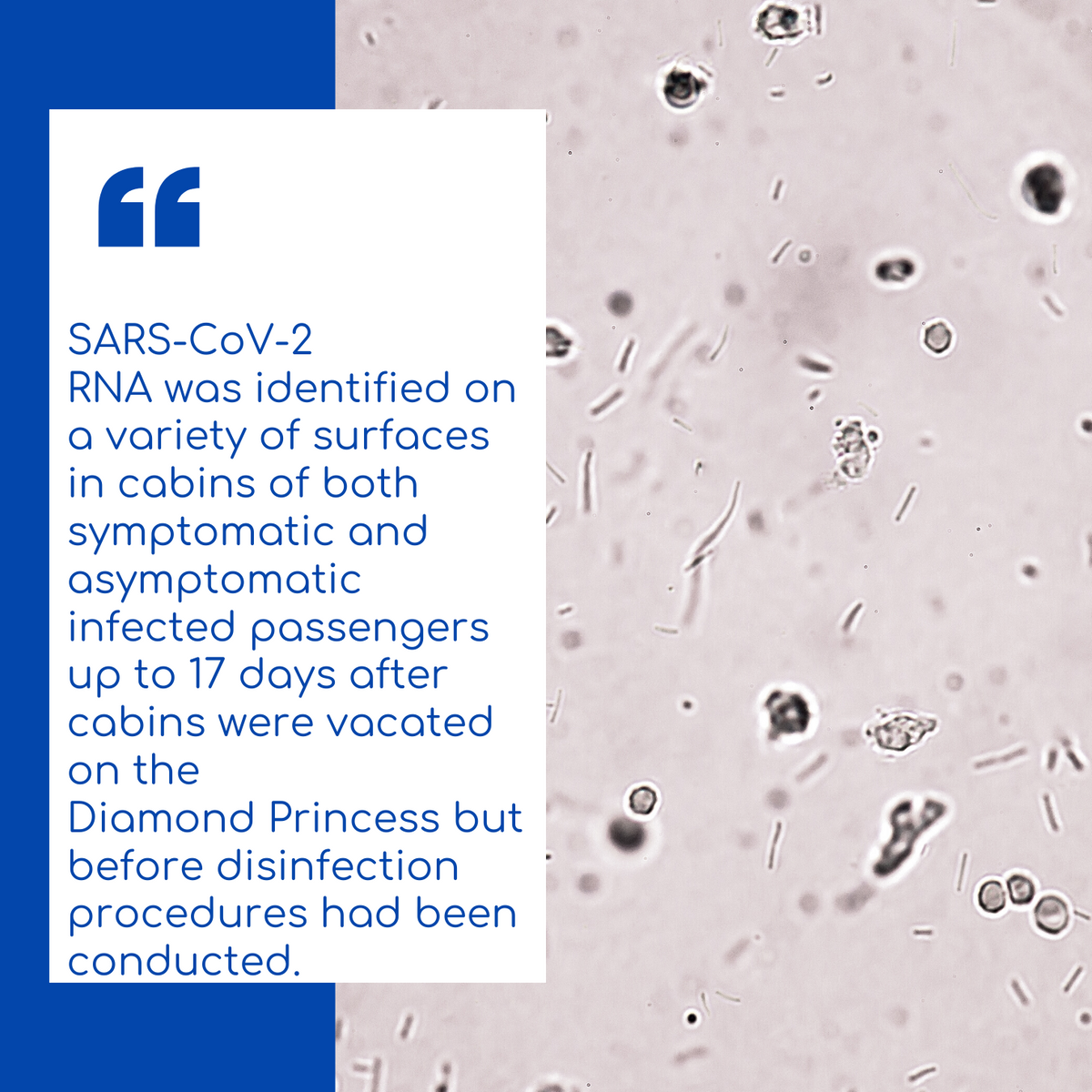 SARS-CoV-2 RNA was identified on a variety of surfaces in cabins of both symptomatic and asymptomatic infected passengers up to 17 days after cabins were vacated on the Diamond Princess but before disinfection procedures had been conducted.